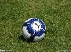 狗子,大舞台,产品,狗子28(中国)官方网站,狗子28H5官方网站,狗子28大舞台,狗子28官网平台