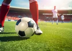 狗子,大舞台,资讯,狗子28(中国)官方网站,狗子28H5官方网站,狗子28大舞台,狗子28官网平台