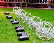 狗子,大舞台,资讯,狗子28(中国)官方网站,狗子28H5官方网站,狗子28大舞台,狗子28官网平台