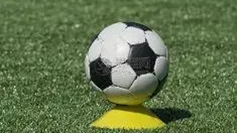 狗子28大舞台 产品 113323 d76