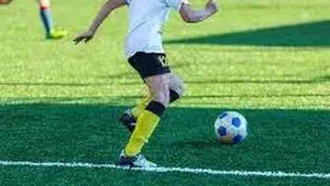 狗子28大舞台 产品 113315 ah3