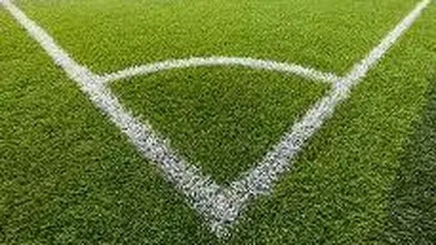 狗子28大舞台 资讯 135054 rfu