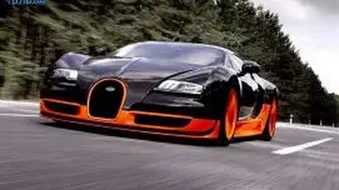 狗子28大舞台 资讯 140458 n5f