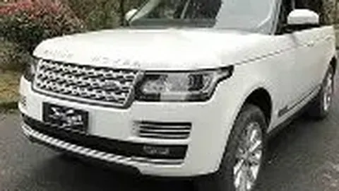 狗子28大舞台 产品 141647 ocx