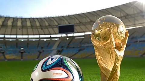 狗子28大舞台 产品 104110 1s8