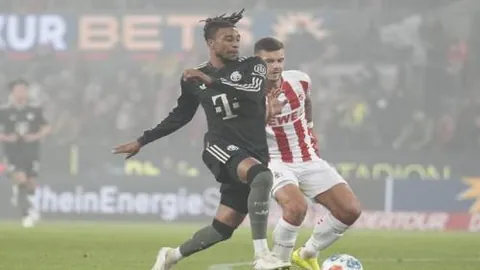 “石铭针灸展中医魅力，勇夺格斗金牌，‘十三妹’成国际体坛焦点”