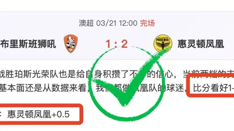 沙特联周五007赛推荐：吉达联合对哈森姆专家质合分析